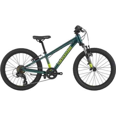cannondale bike 20 inch
